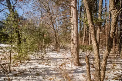 Stone Road, Wautoma, WI 54982 - Photo 21