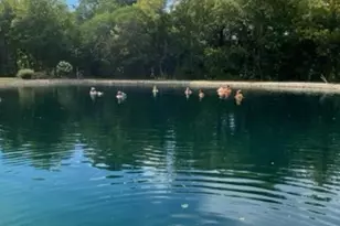 N6439 Lake Shore Dr, Hilbert, WI 54129 - Photo 35