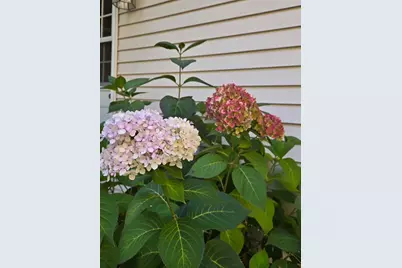 W7647 Patrick Place, Beaver Dam, WI 53916 - Photo 87