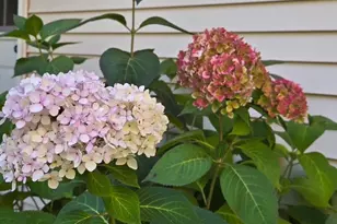 W7647 Patrick Pl, Beaver Dam, WI 53916 - Photo 87