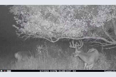 N3353 Comet Road, Edgerton, WI 54486 - Photo 59