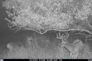 N3353 Comet Rd, Edgerton, WI 54486 - Photo 59