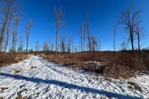 N3353 Comet Rd, Edgerton, WI 54486 - Photo 41