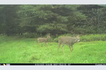 N3353 Comet Road, Edgerton, WI 54486 - Photo 79