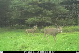 N3353 Comet Rd, Edgerton, WI 54486 - Photo 79