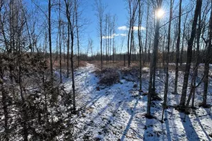 N3353 Comet Rd, Edgerton, WI 54486 - Photo 35