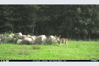 N3353 Comet Road, Edgerton, WI 54486 - Photo 61