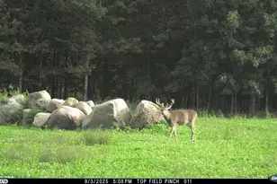 N3353 Comet Rd, Edgerton, WI 54486 - Photo 61