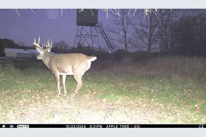 N3353 Comet Road, Edgerton, WI 54486 - Photo 57