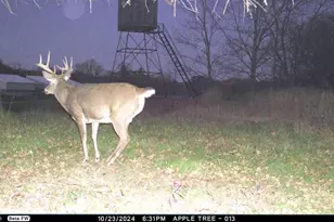 N3353 Comet Rd, Edgerton, WI 54486 - Photo 57