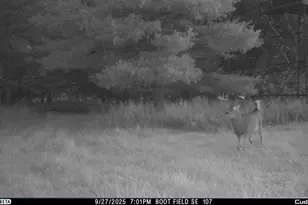 N3353 Comet Rd, Edgerton, WI 54486 - Photo 65