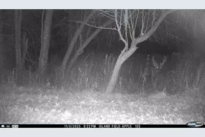 N3353 Comet Road, Edgerton, WI 54486 - Photo 77