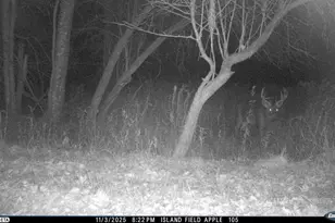 N3353 Comet Rd, Edgerton, WI 54486 - Photo 77