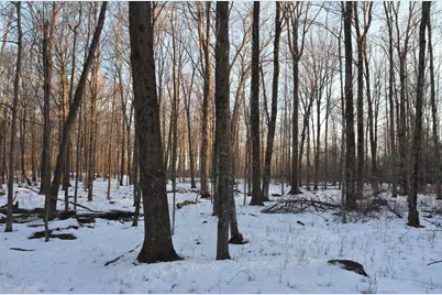 N3353 Comet Road, Edgerton, WI 54486 - Photo 25