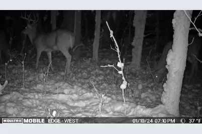 17th Drive, Wautoma, WI 54982 - Photo 31