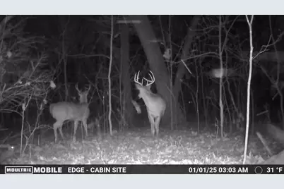 17th Drive, Wautoma, WI 54982 - Photo 29