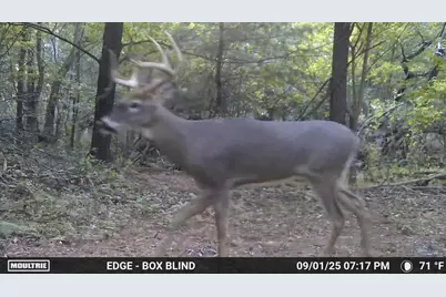 17th Drive, Wautoma, WI 54982 - Photo 25