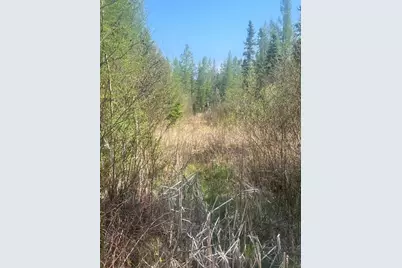 Co Rd 356, Daggett, MI 49821 - Photo 3