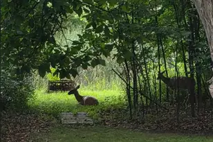 4175 Twilight Ct, Oshkosh, WI 54904 - Photo 41