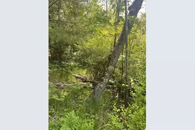 Lake John Road, Lakewood, WI 54138 - Photo 3