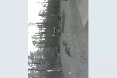 W10825 Woods Road, Dunbar, WI 54119 - Photo 25