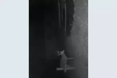 W10825 Woods Road, Dunbar, WI 54119 - Photo 23