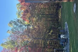 W10825 Woods Rd, Dunbar, WI 54119 - Photo 27