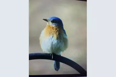 3128 Concordia Lane, Green Bay, WI 54311 - Photo 57