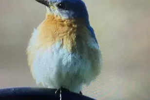 3128 Concordia Ln, Green Bay, WI 54311 - Photo 57