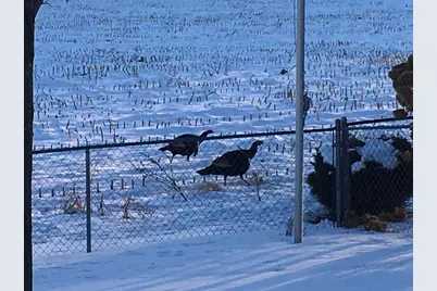 3128 Concordia Lane, Green Bay, WI 54311 - Photo 55