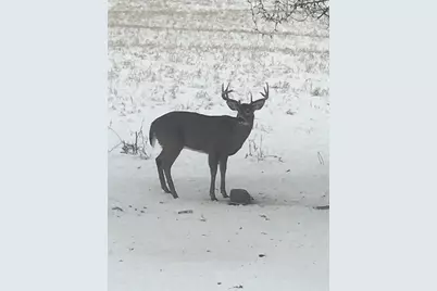 3128 Concordia Lane, Green Bay, WI 54311 - Photo 53