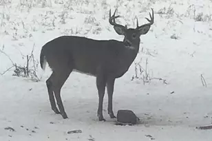 3128 Concordia Ln, Green Bay, WI 54311 - Photo 53