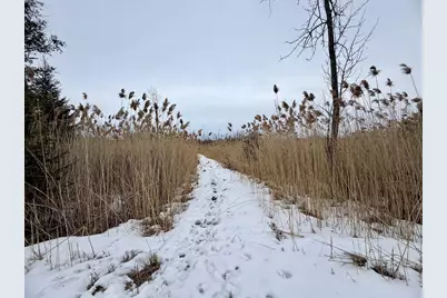 W4424 Birch Creek Road, Menominee, MI 49858 - Photo 7