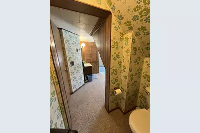 224 N Madison Street, Coloma, WI 54930 - Photo 21