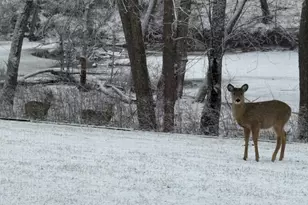 2661 Northern Rd, Appleton, WI 54914 - Photo 37