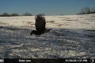 N5199 Marggi Ln, Saint Cloud, WI 53079 - Photo 85