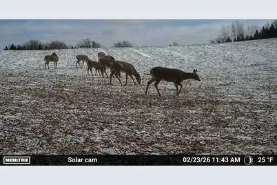 N5199 Marggi Lane, Saint Cloud, WI 53079 - Photo 87