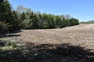 N5199 Marggi Ln, Saint Cloud, WI 53079 - Photo 11
