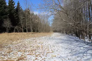 N5199 Marggi Ln, Saint Cloud, WI 53079 - Photo 31