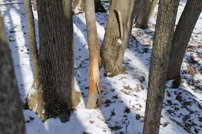 N5199 Marggi Lane, Saint Cloud, WI 53079 - Photo 25