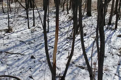 N5199 Marggi Lane, Saint Cloud, WI 53079 - Photo 19