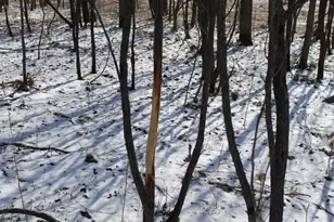 N5199 Marggi Ln, Saint Cloud, WI 53079 - Photo 19