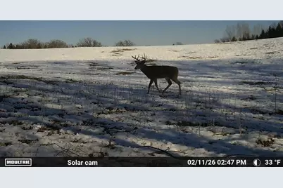 N5199 Marggi Lane, Saint Cloud, WI 53079 - Photo 79
