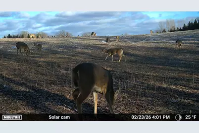 N5199 Marggi Lane, Saint Cloud, WI 53079 - Photo 89