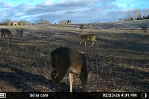 N5199 Marggi Ln, Saint Cloud, WI 53079 - Photo 89