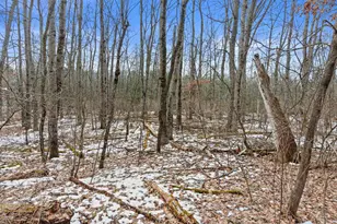 W6769 S Silver Lake Rd, Wautoma, WI 54982 - Photo 47