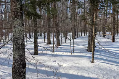 N9664 Ison Lane, Pickerel, WI 54465 - Photo 7