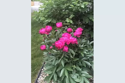 841 E Windfield Place, Appleton, WI 54911 - Photo 33