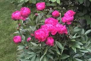 841 E Windfield Pl, Appleton, WI 54911 - Photo 33