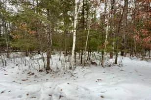 N11956 Jungle Jims Ln, Silver Cliff, WI 54104 - Photo 35